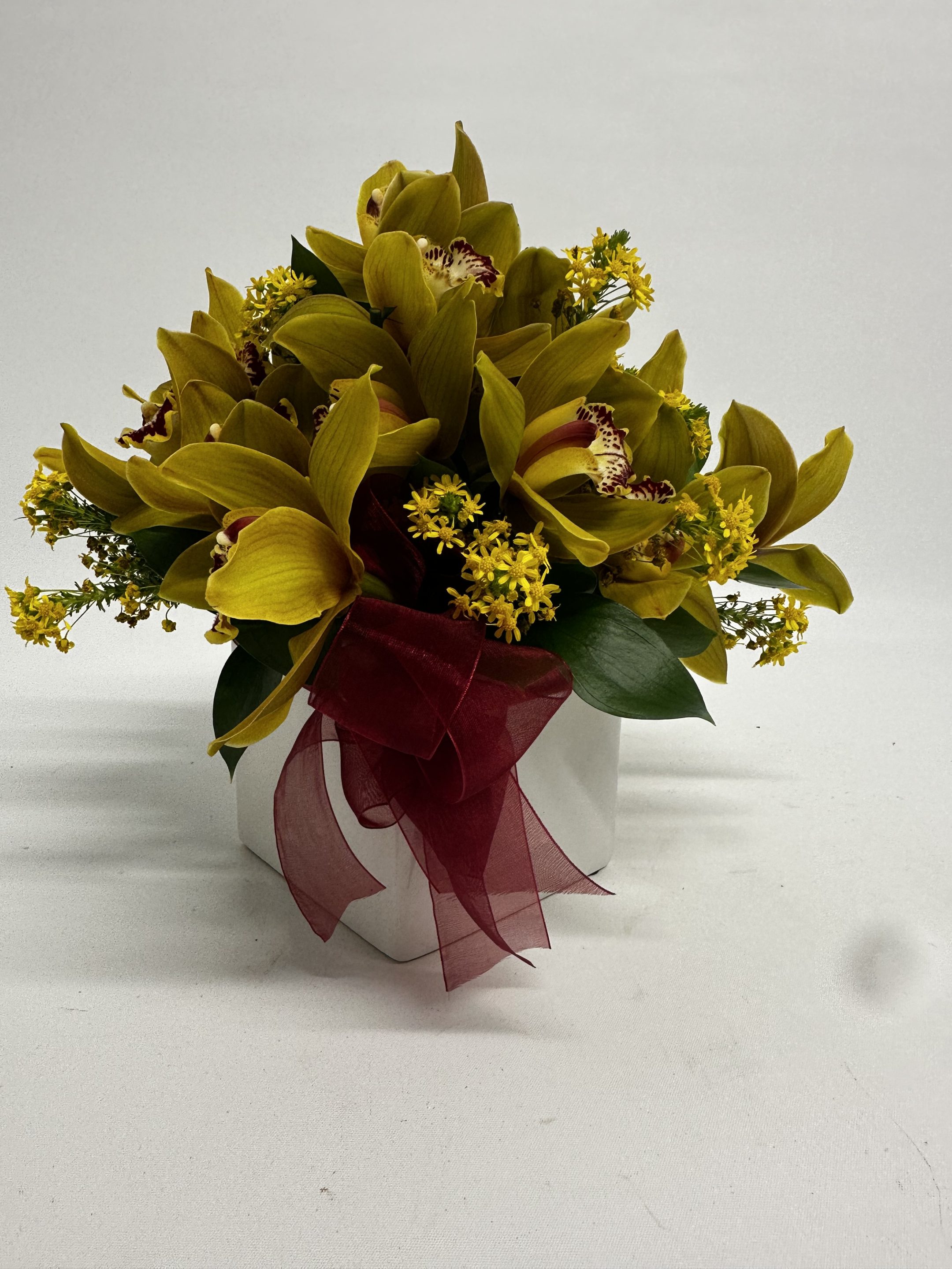 Orchid in container
