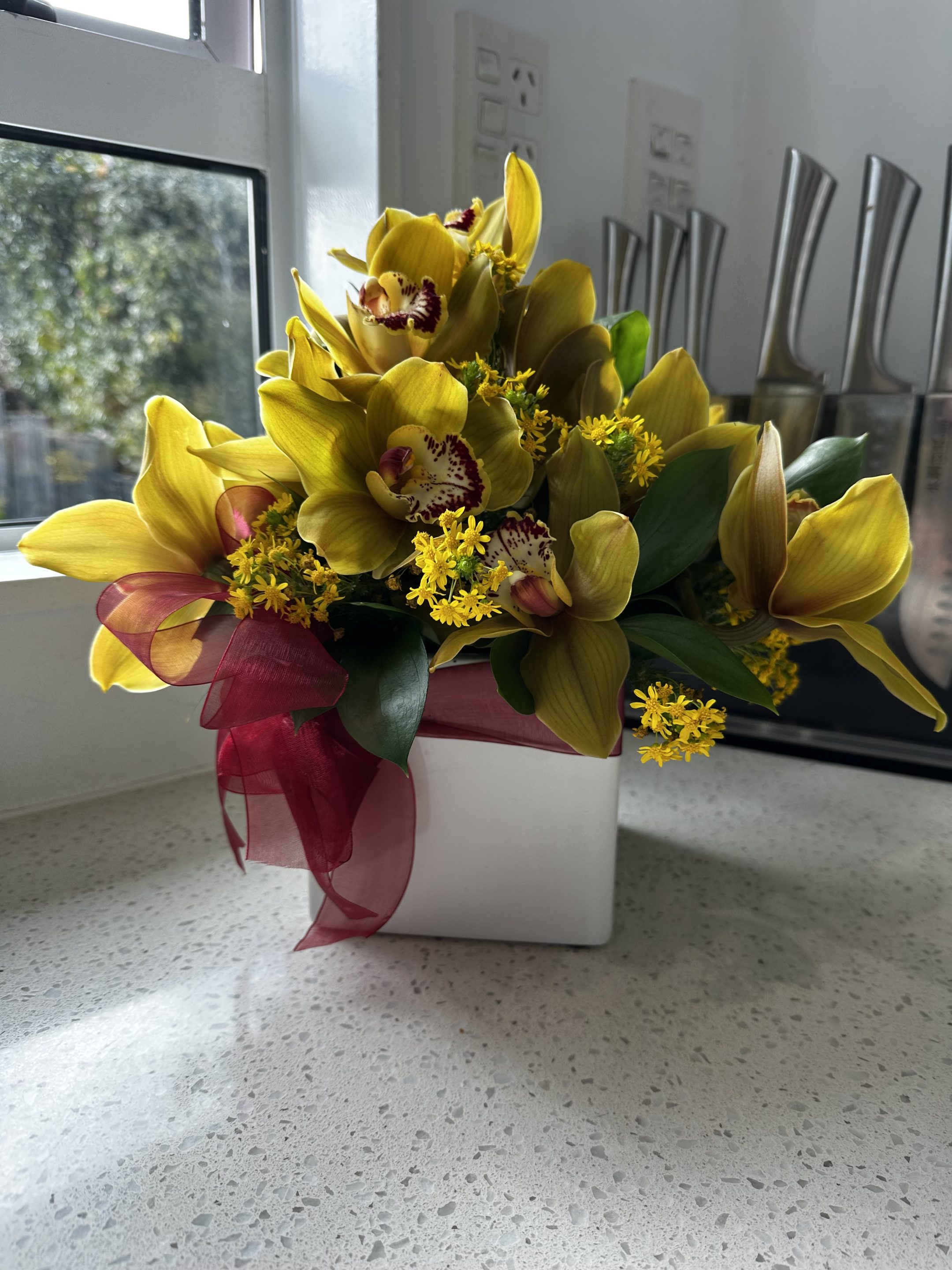 Orchid in container setting