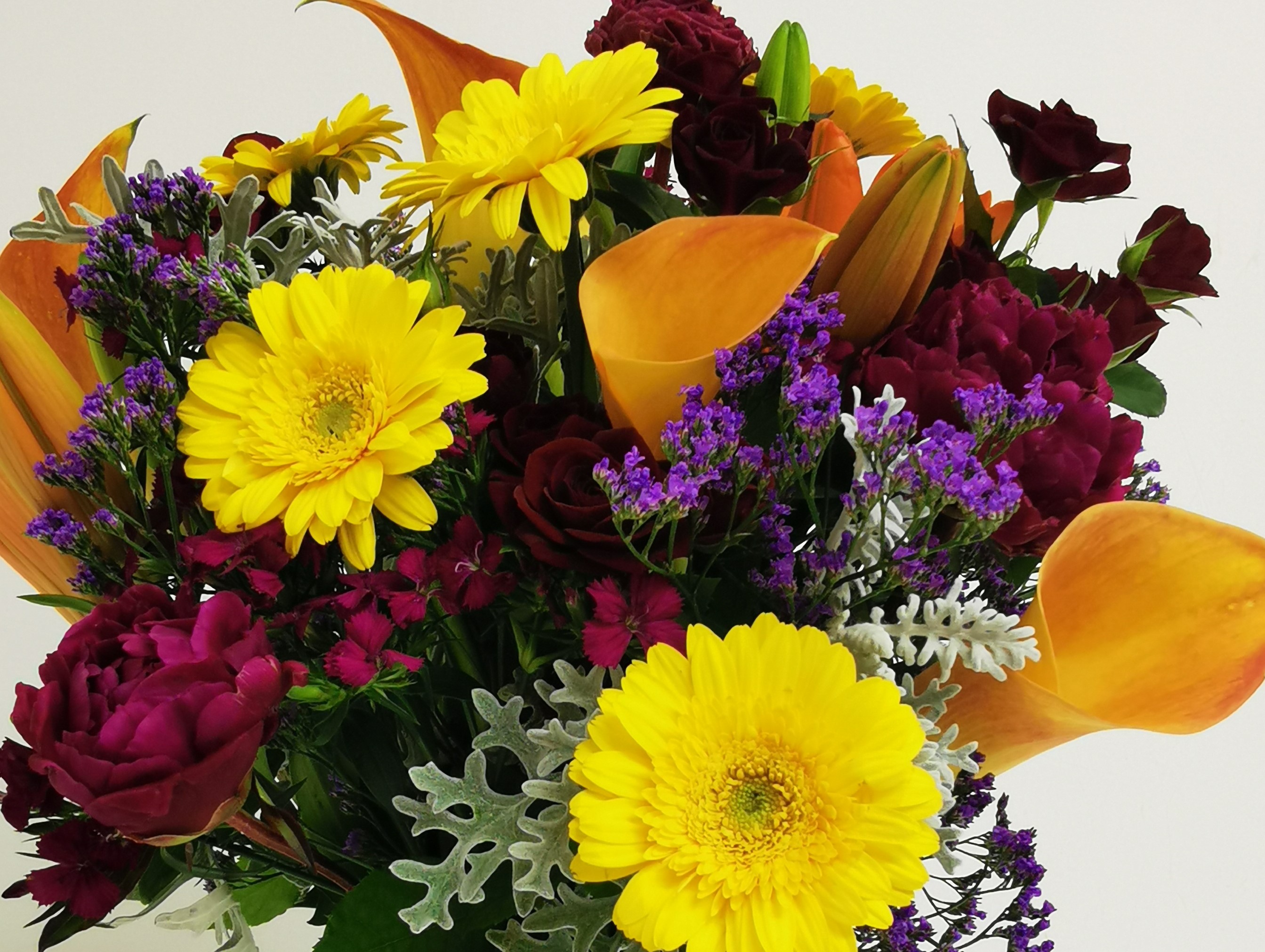 bright beauty in a vase gallery.jpg 1