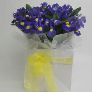blue tipped flowers in a white flower box with a yellow strap around
