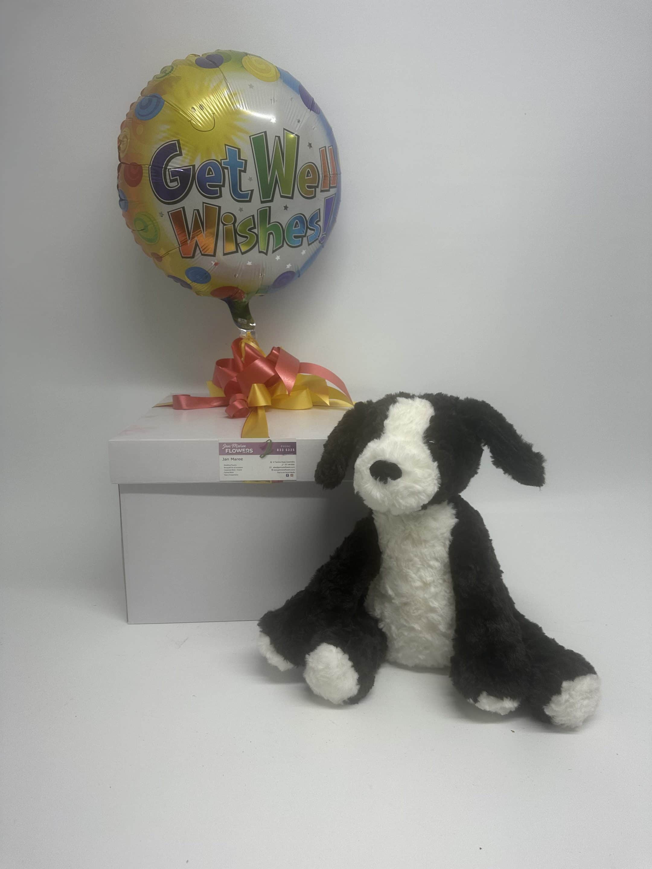 Dog and helium Balloon