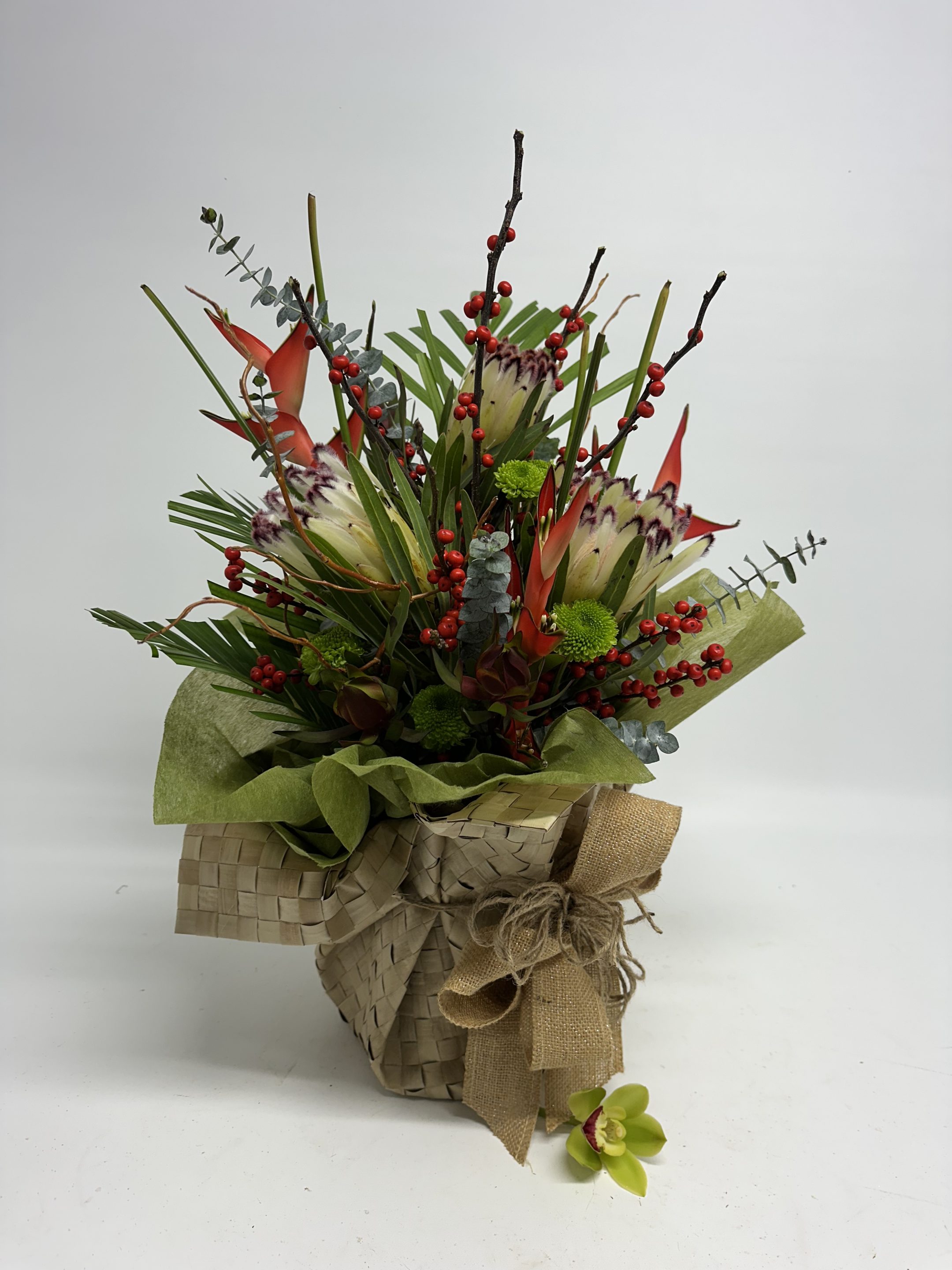 Protea in Kete Wrap