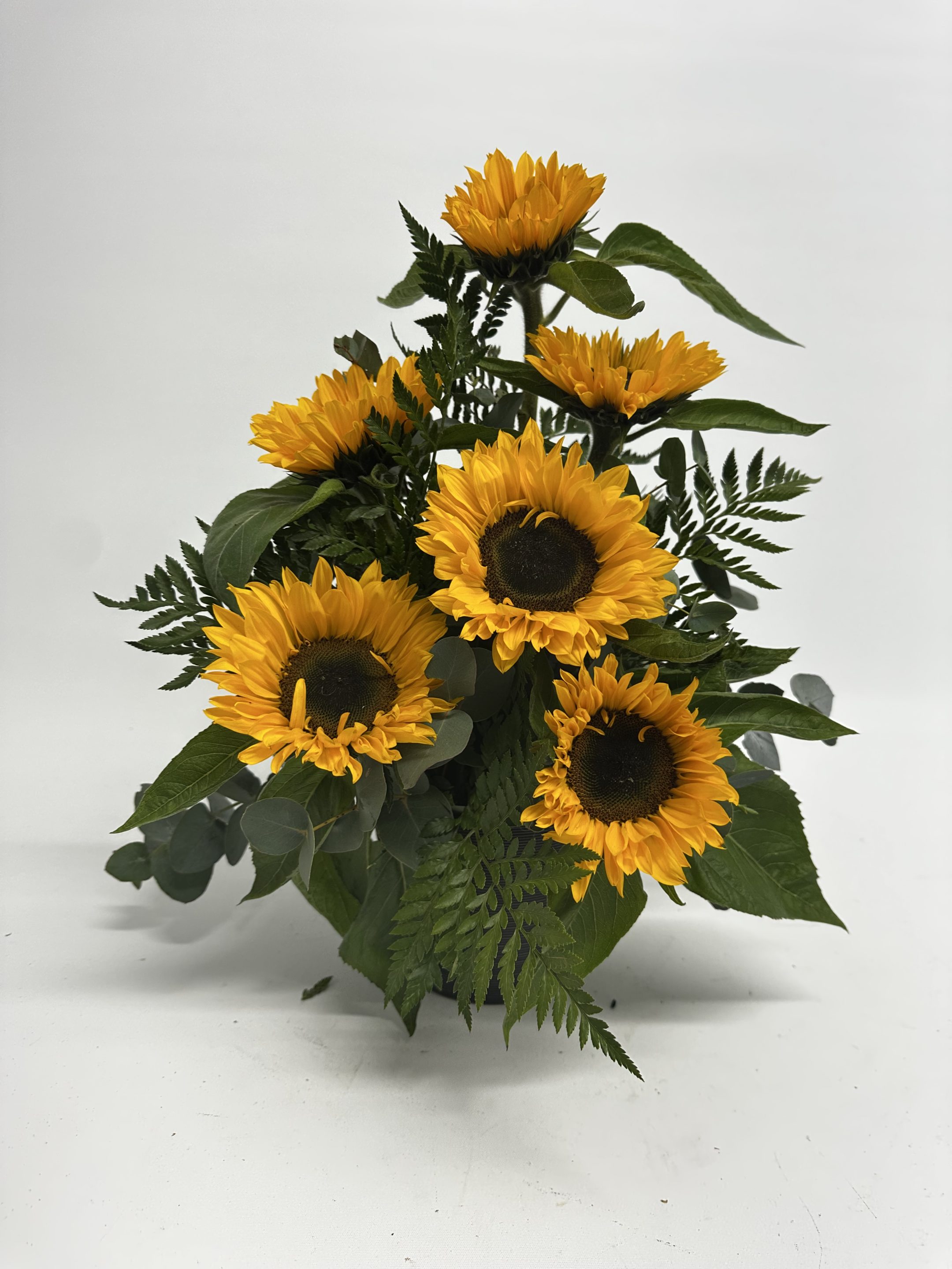 3 sunflowers in pot