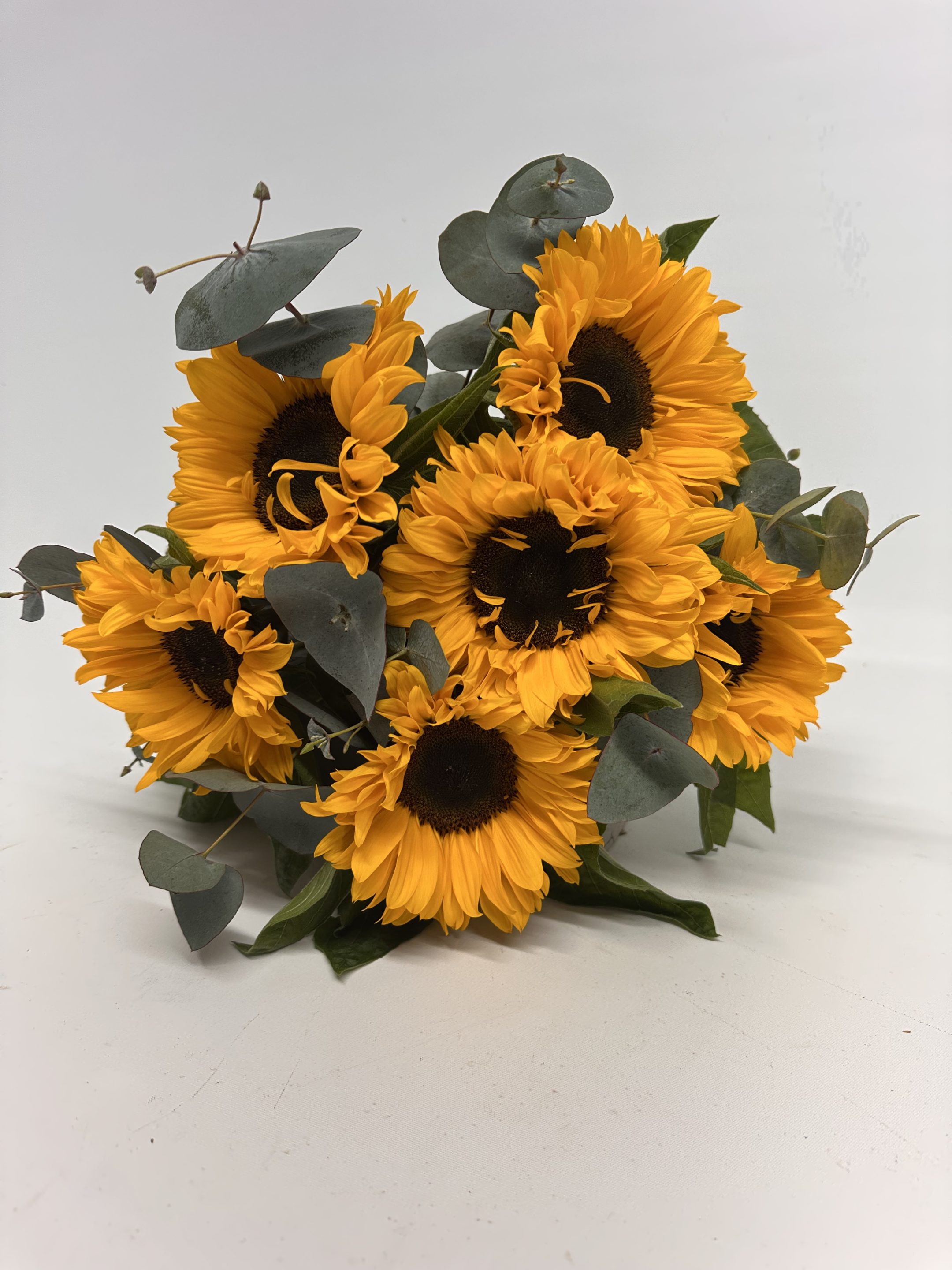 6 x Sunflowers
