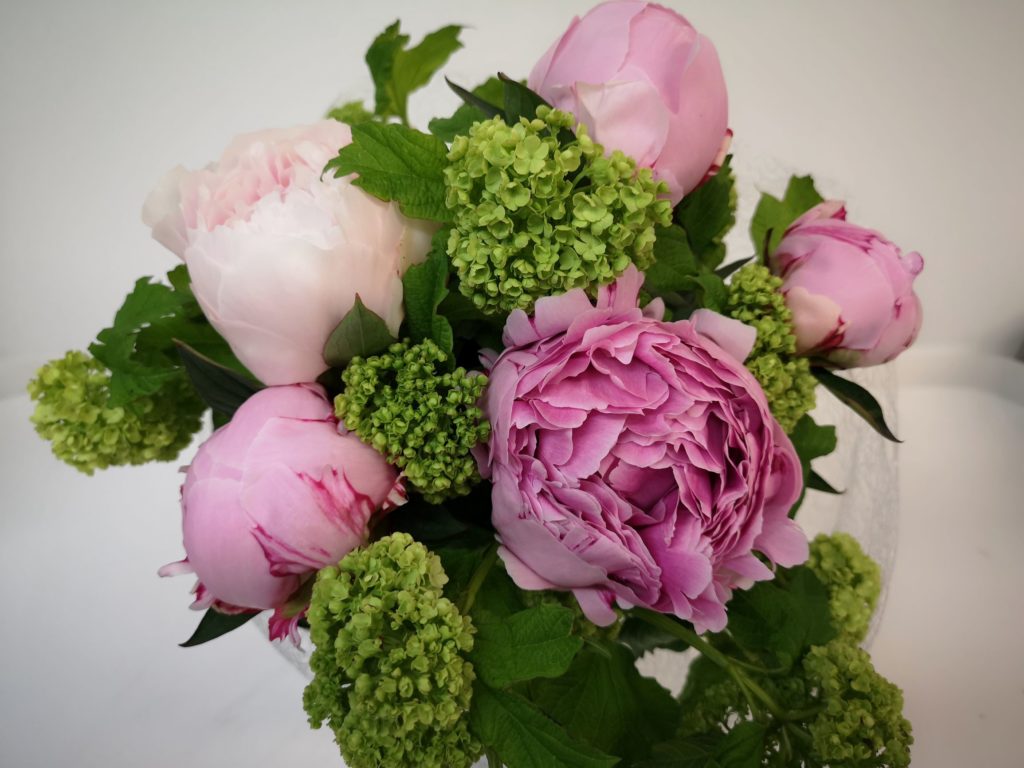 Sarah-Peonies-1024x768 (1)