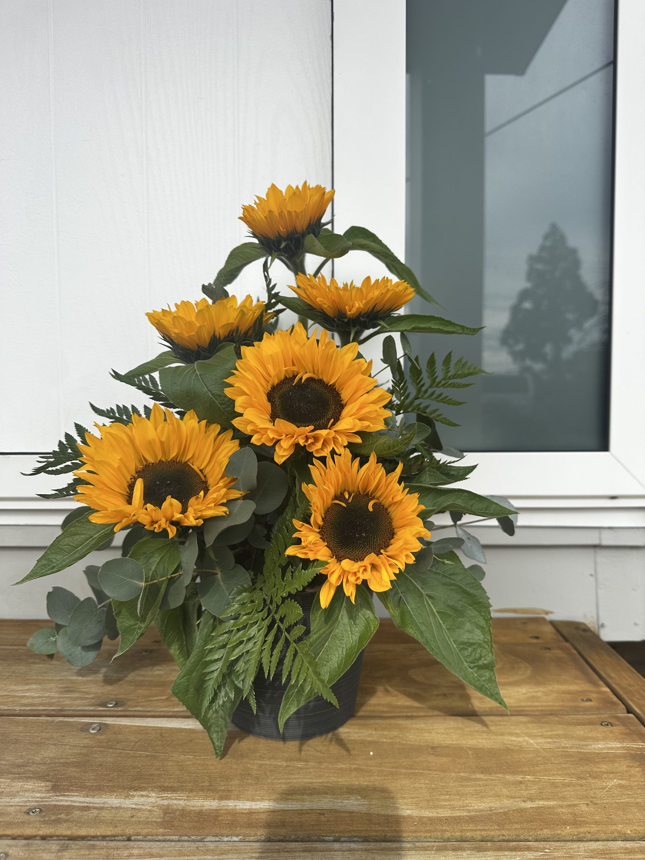 sunflowes in pot setting